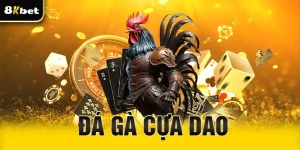 Đá gà cựa dao