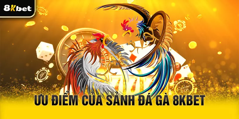Ưu điểm của sảnh đá gà 8Kbet